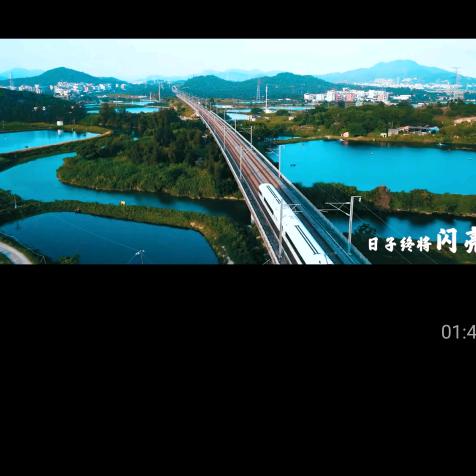 树叶
