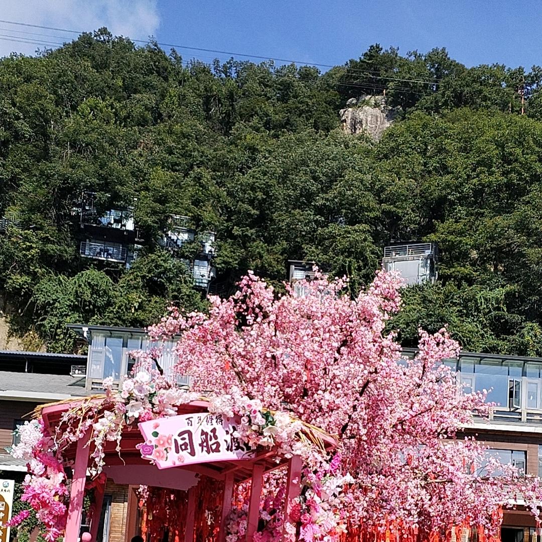 刘小糖