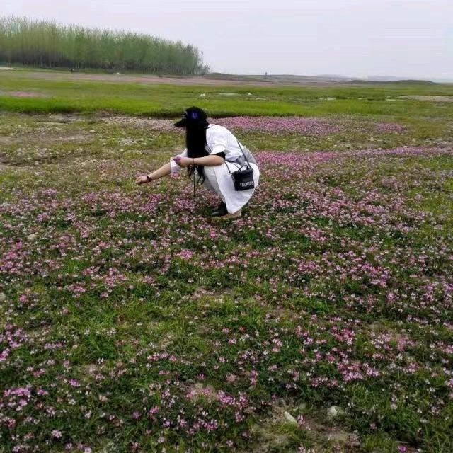 陌北