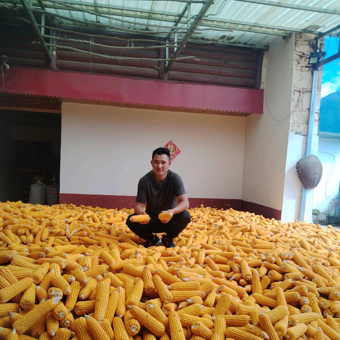 大风湾.农资，饲料