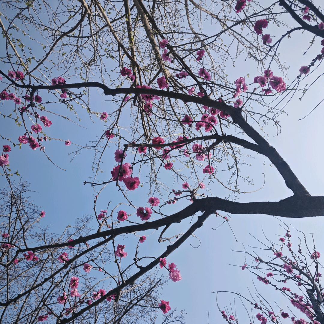 东了个冬