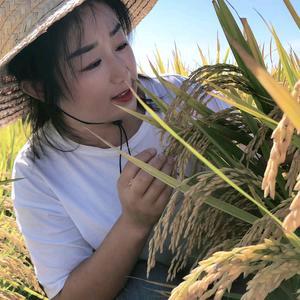 涵姐爱种植
