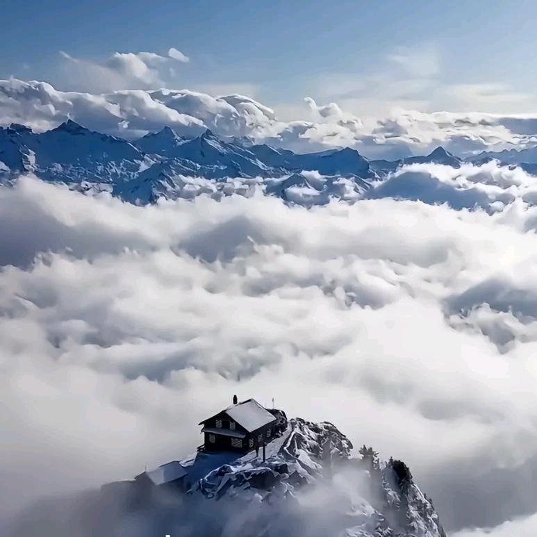 闲云☁️野鹤