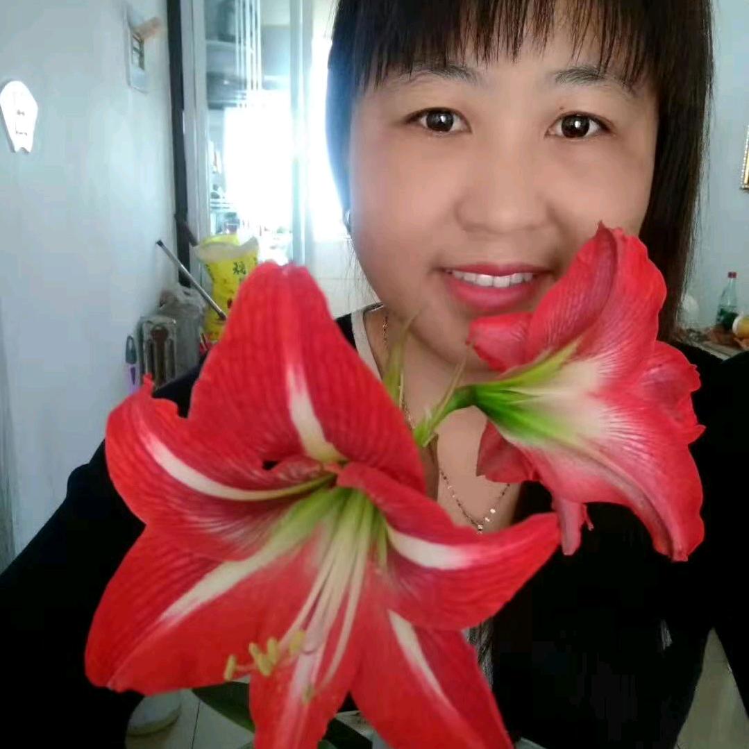 哲的.