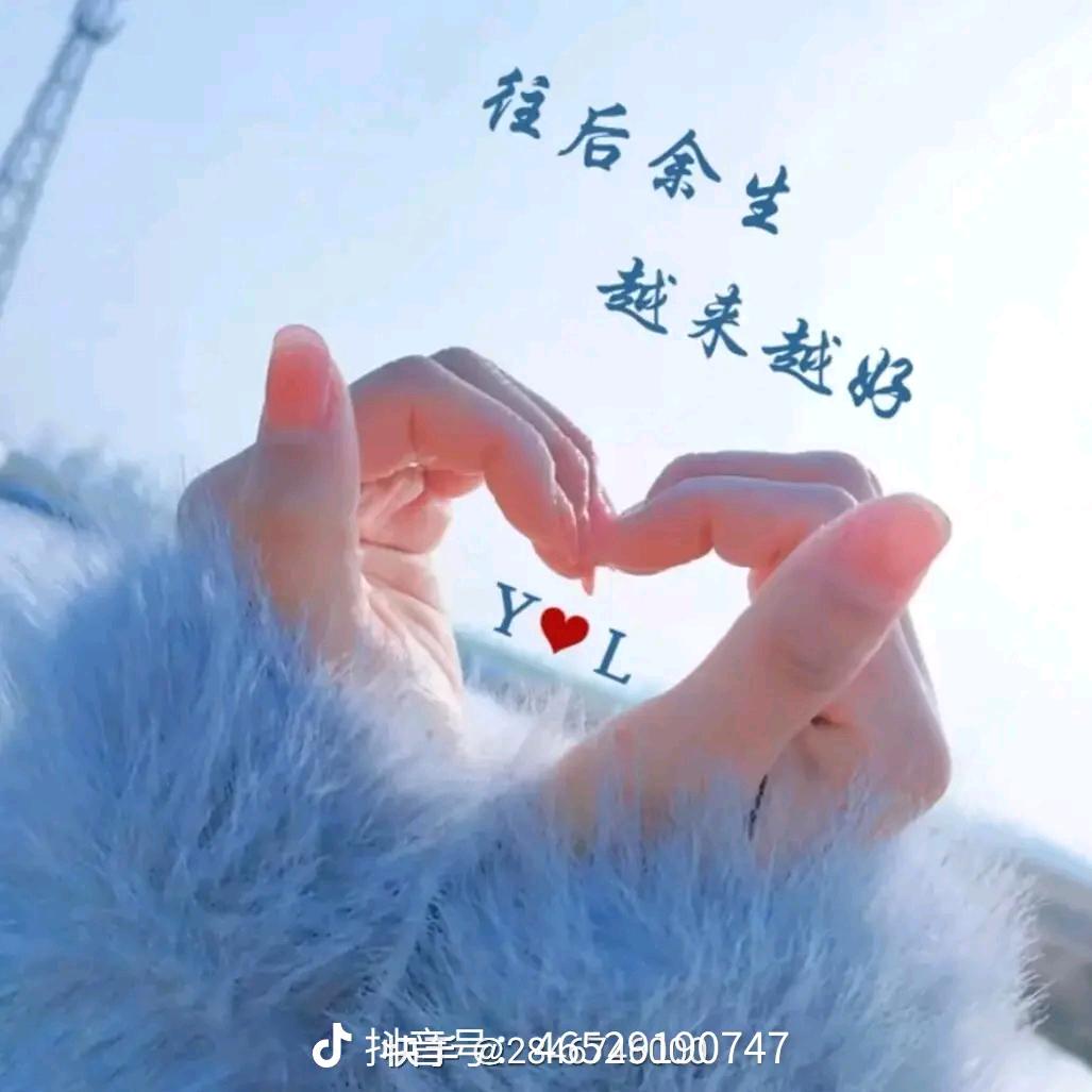 人生若只如初见