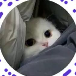 橘月W.