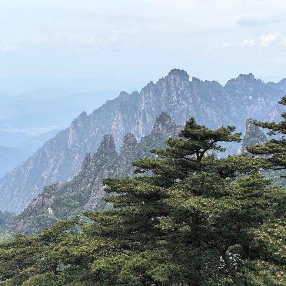 又菜又爱玩