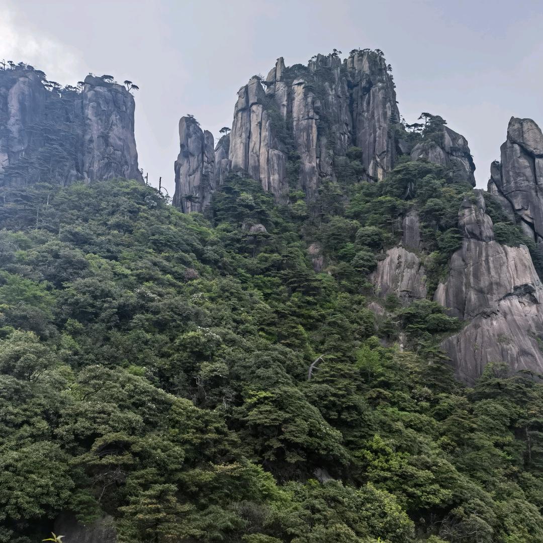 与善仁～言善信