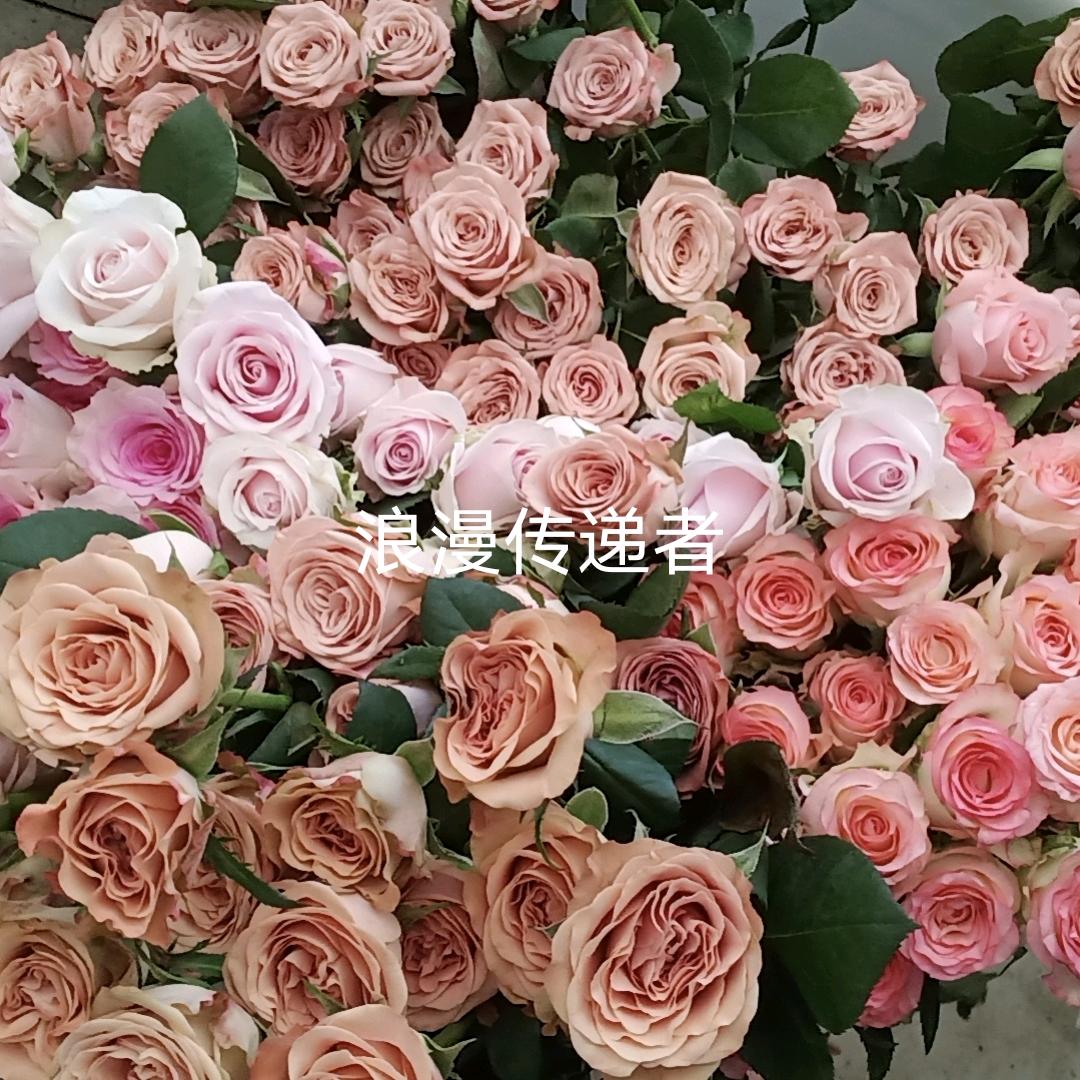 花满缘