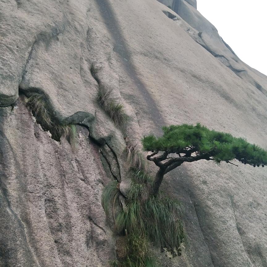 你的关注