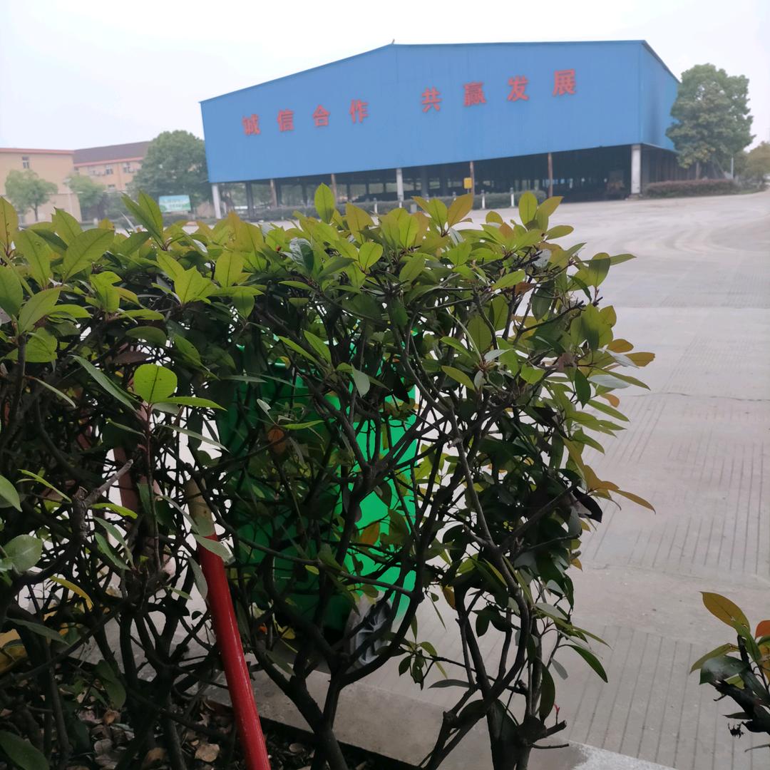 柯劲松