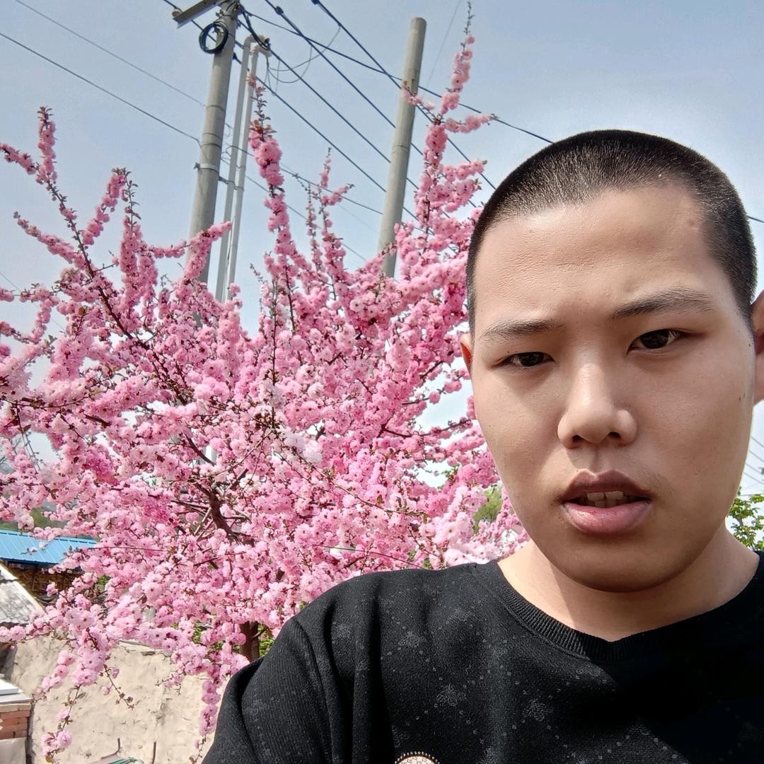 杨跃