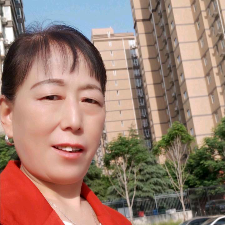 陕西花（晚上7.20分开播）陕西