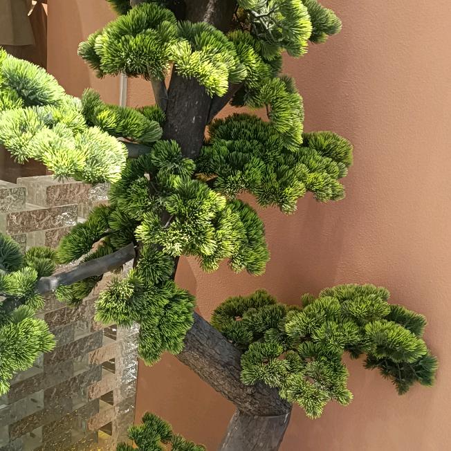 时光无声🌱