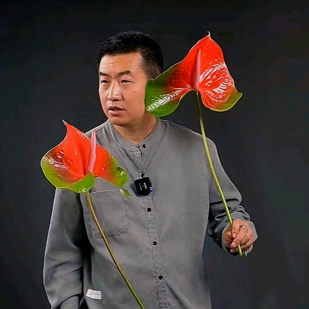 远征教插花