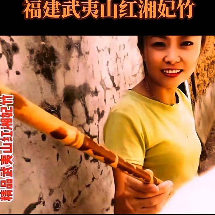 武夷山红湘妃竹工作室