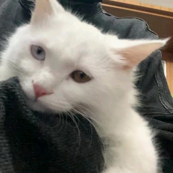 长白山私人地接导游小翟（带队中）