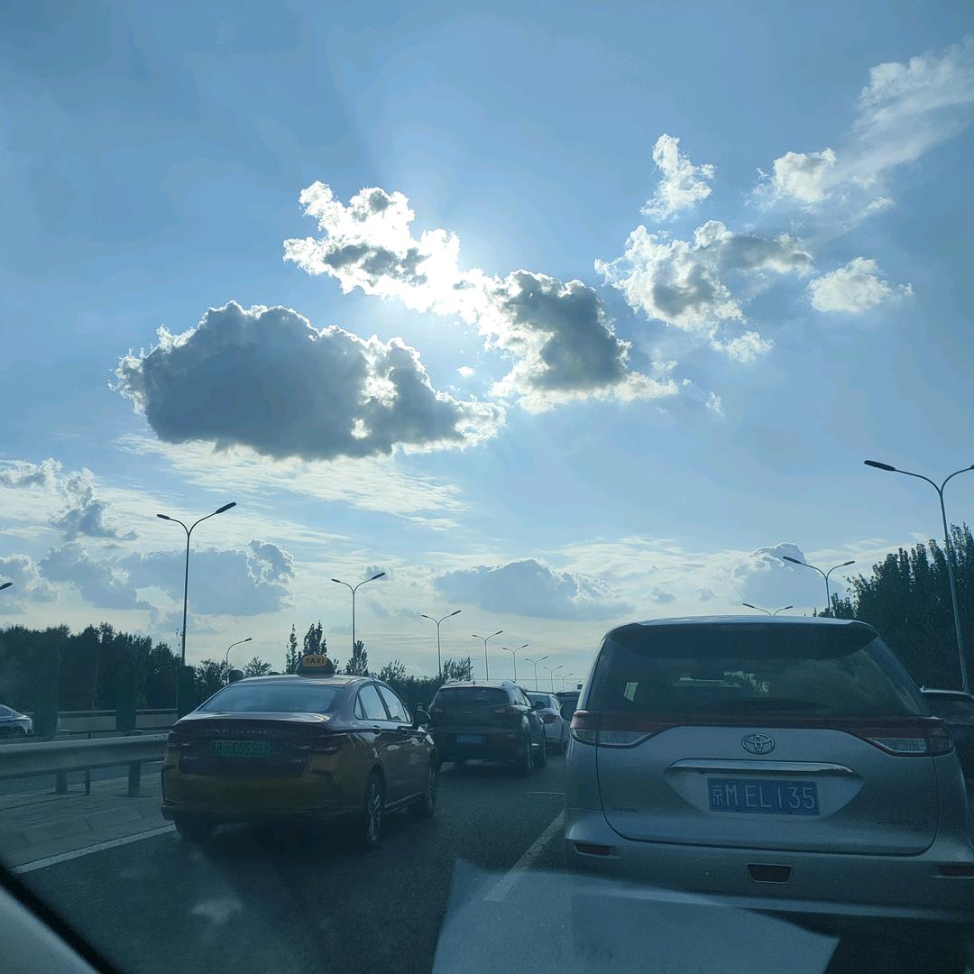 世说新语:张世语