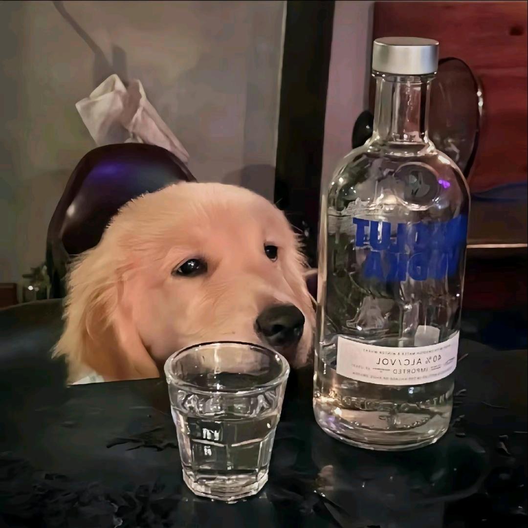 仓鼠