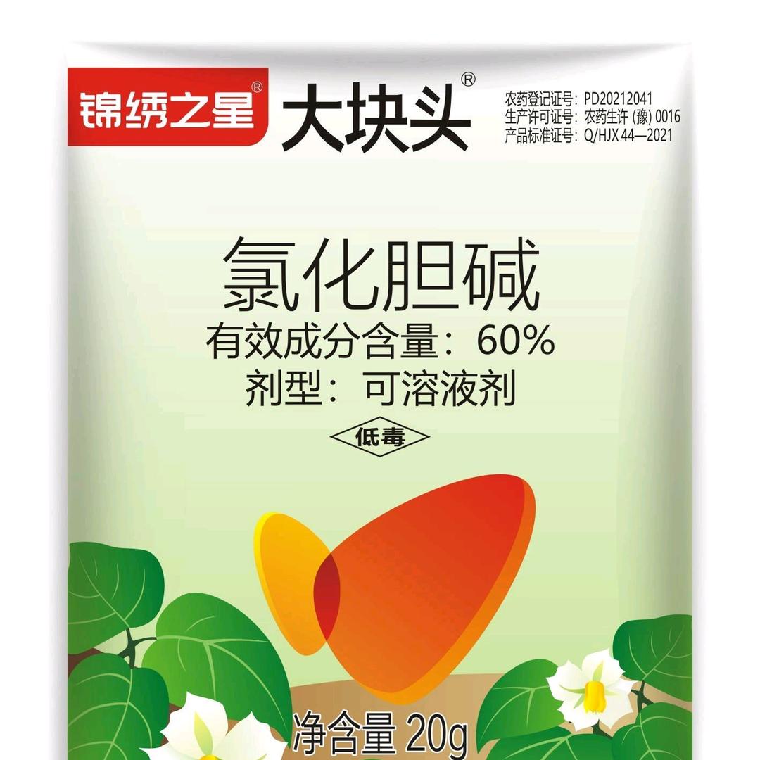 农业发展新农人