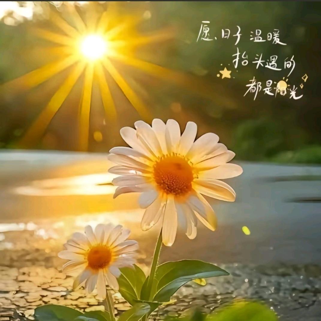 🌟姐💕弟嘛嘛