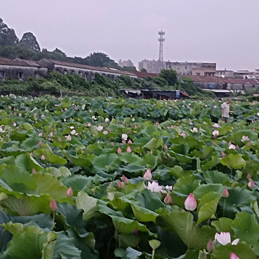 有你真好🍎🎈👨‍👩‍👦‍👦