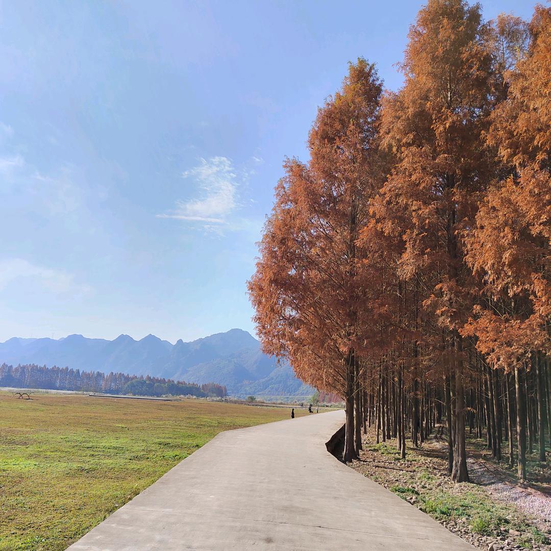 小手冰凉℘࿐ᩚ