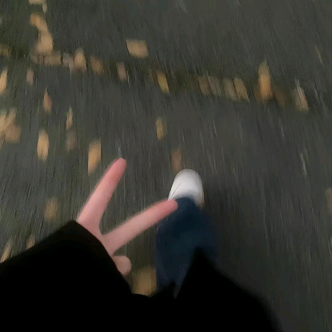 人间体验官🐳