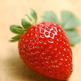 万亩红颜草莓🍓基地