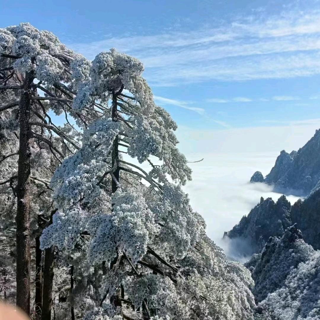 小阿欣