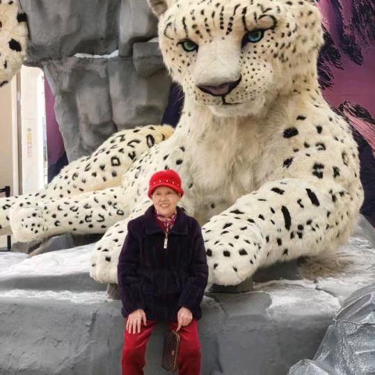 诚诚奶奶