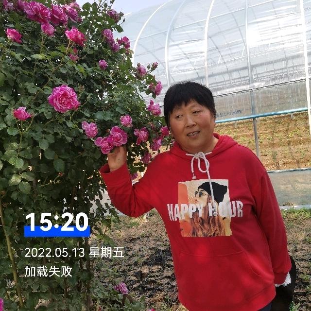 天天向上一帆风顺