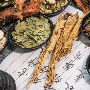 中中草草🌿