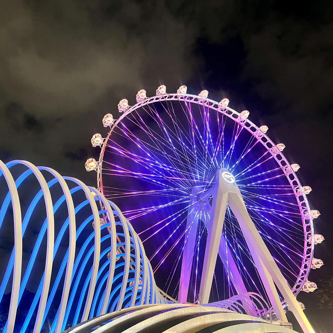 双子座♊️雅痞