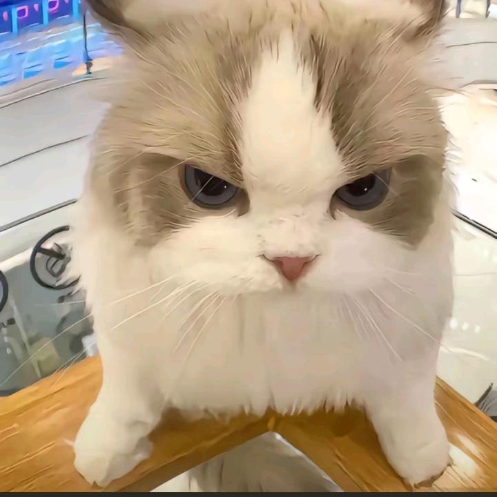 小南