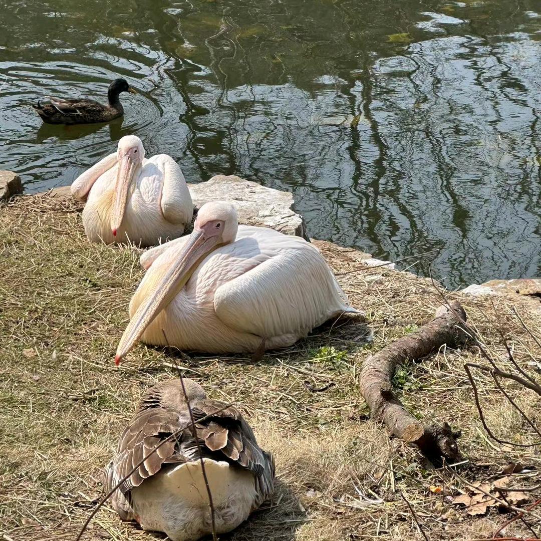 高价回收旧衣服