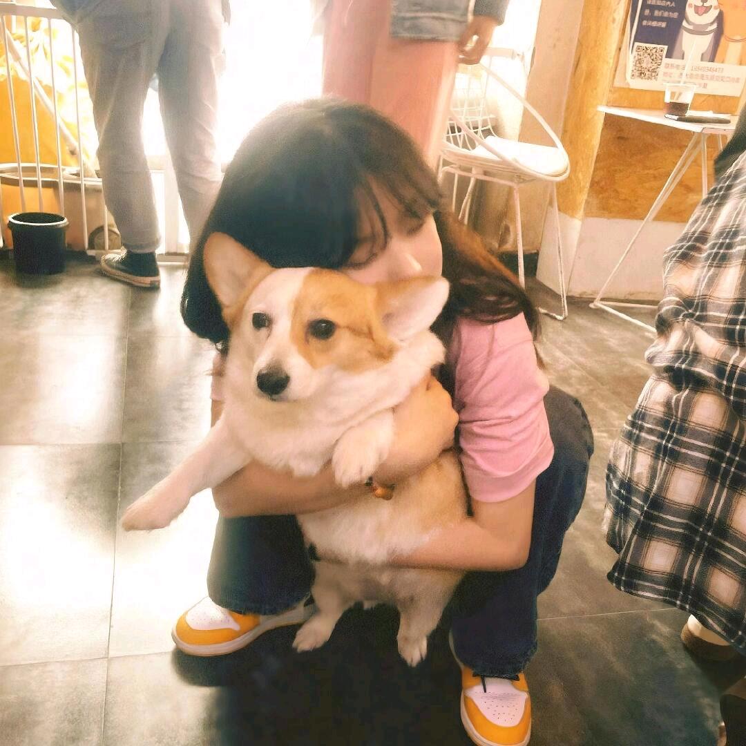 又是一年冬季