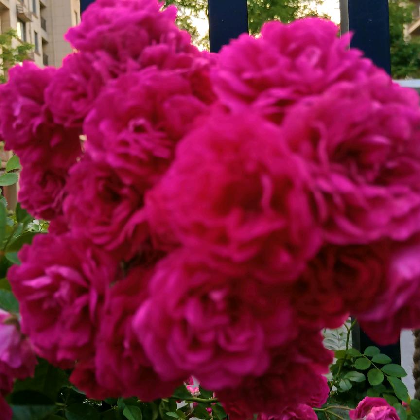 随遇而安（拒绝私聊）