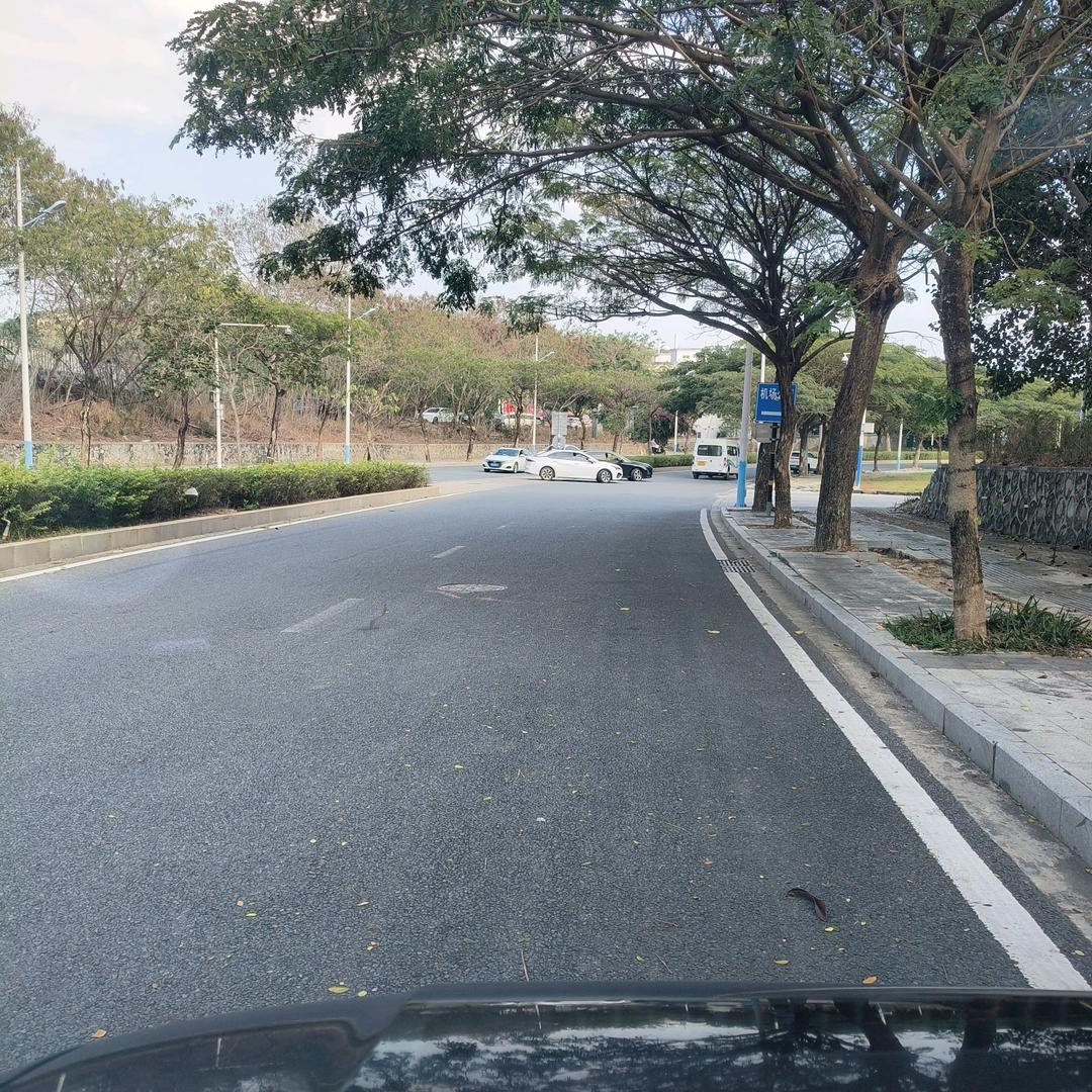 向僵尸开炮-阿浩