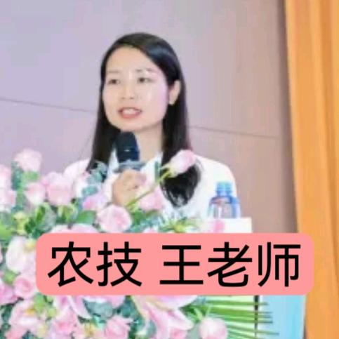 王海燕 金玉农资