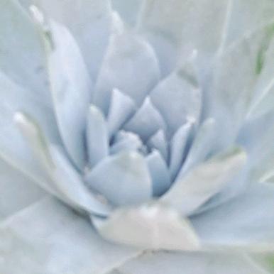 过去的不值得回忆