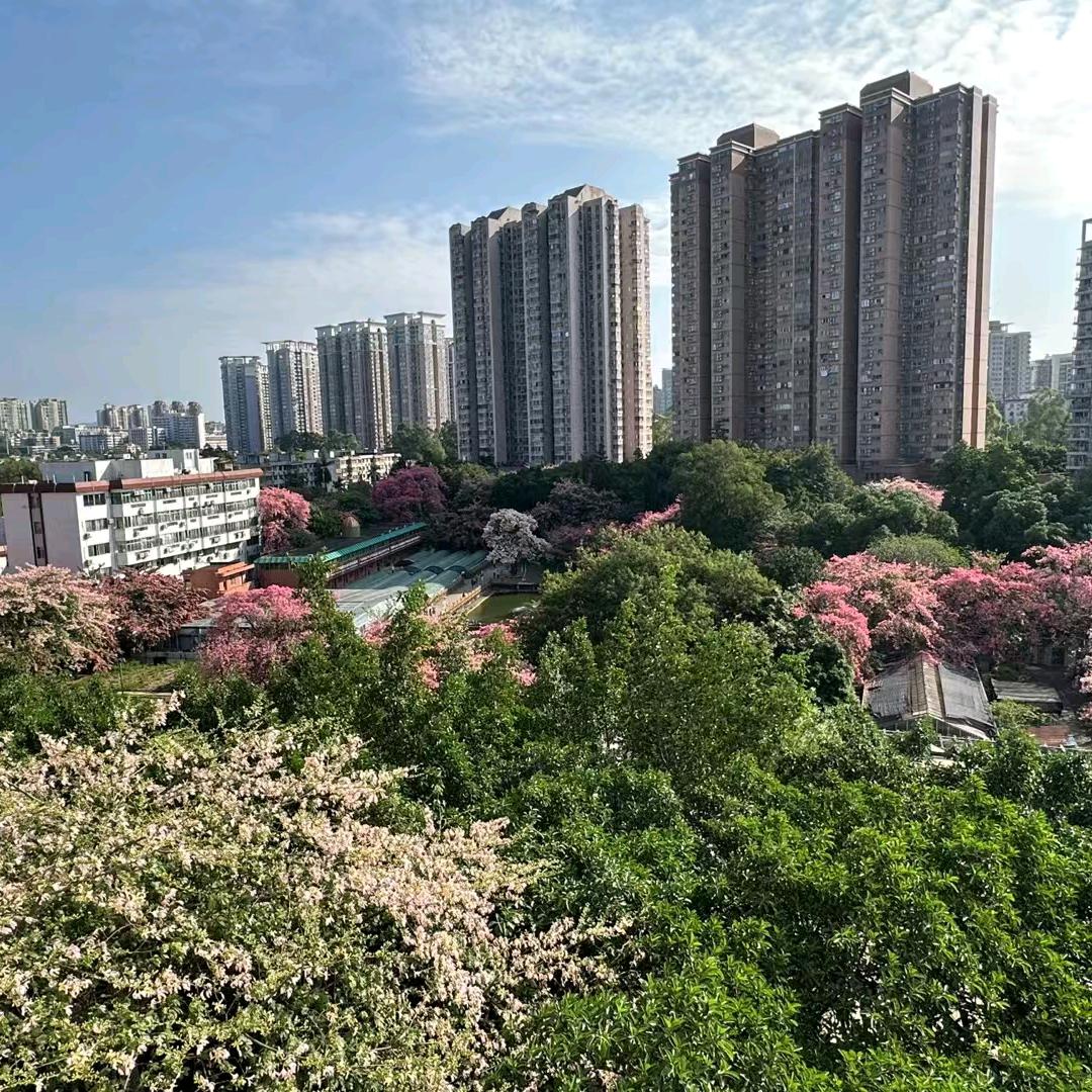 坐不饱