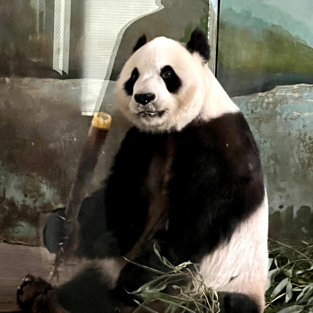 斗米