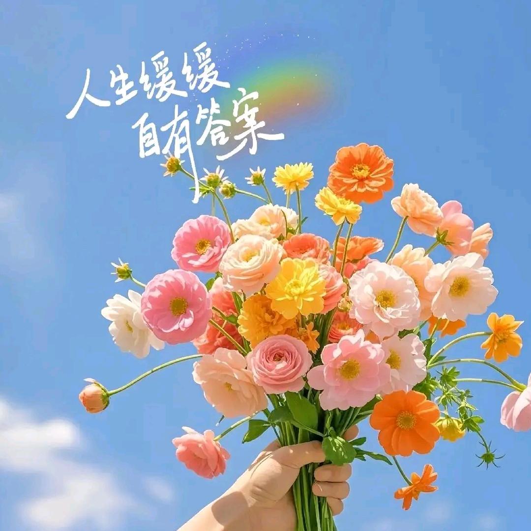 智者不入爱何同学