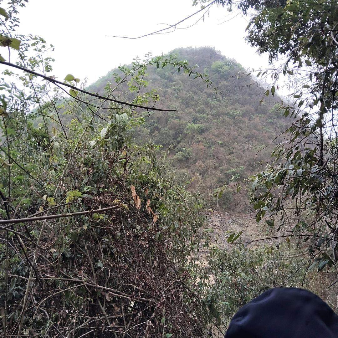 男人的样子