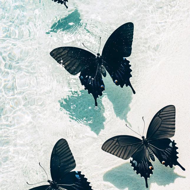 烟台科技学院徐老师