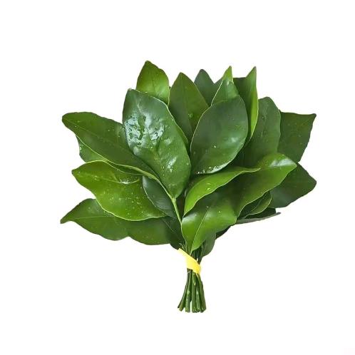 循 环
