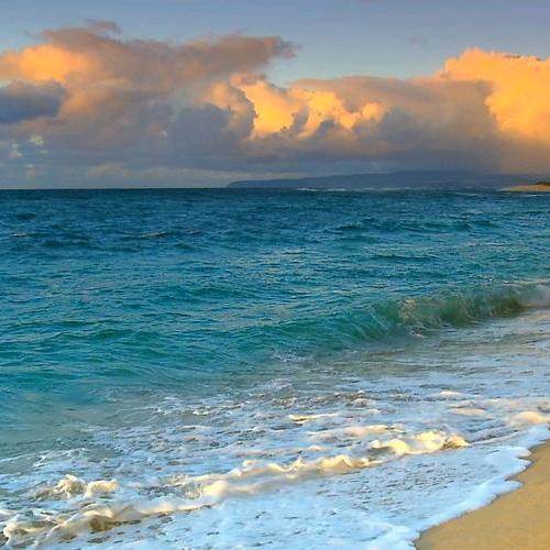 海叔 DS深度求索