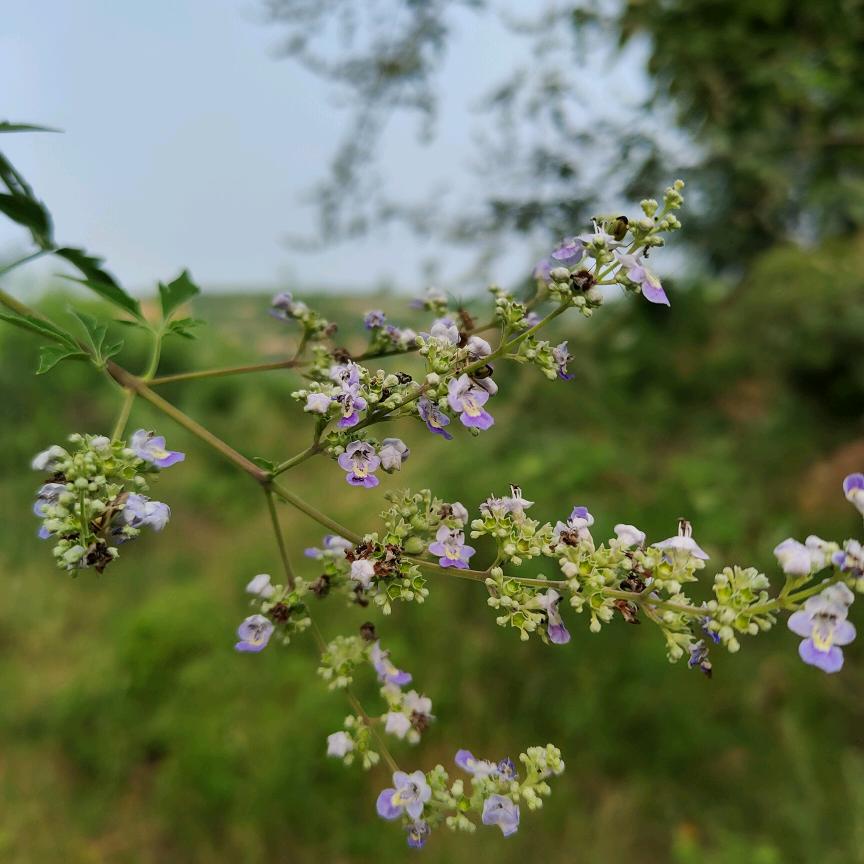 余生很贵，莫要浪费