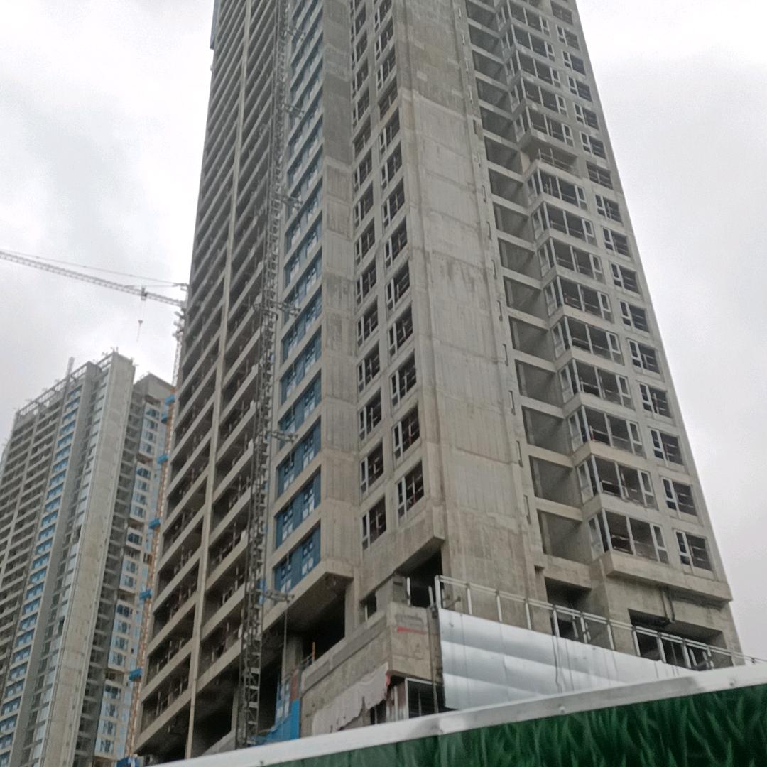 我行我素